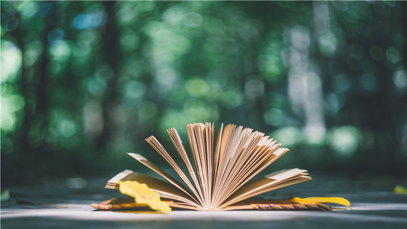 菜根谭是一部什么内容的书