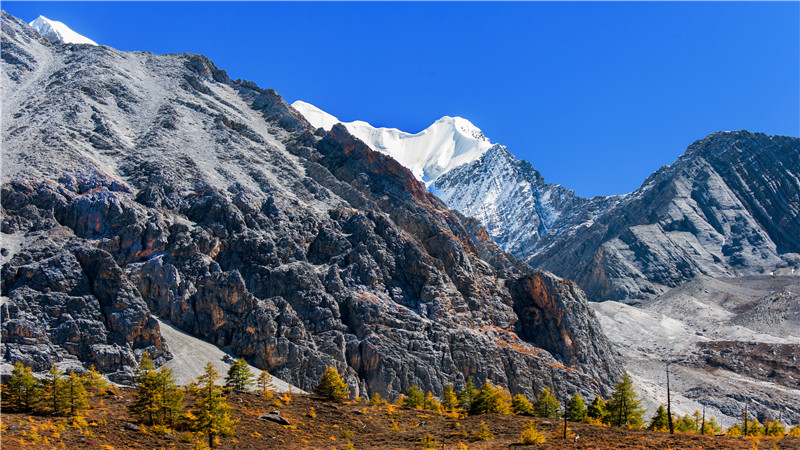 题西林壁的诗意