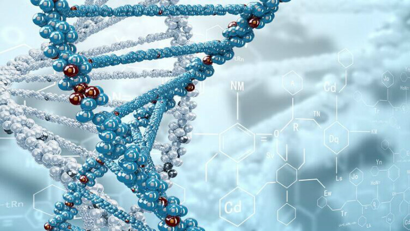 中国第一个遗传学专业是由谁建立的 中国第一个遗传学专业是由谁建立的