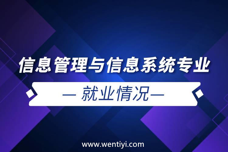 信息管理与信息系统专业就业情况