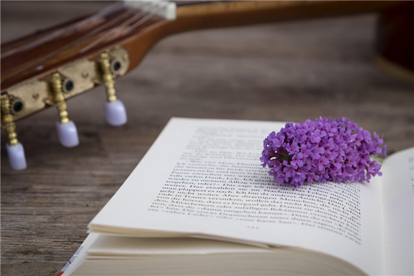 中国特色社会主义的本质特征是什么