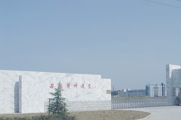 安医大5十3分数线