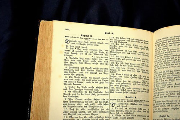 honestyou翻译成中文 honestyou翻译成中文