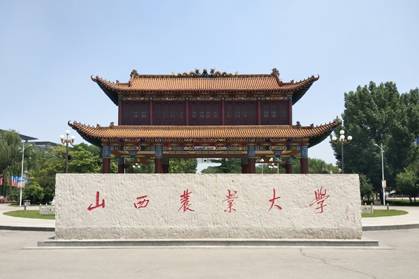 山西农大艺术类有什么专业